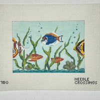 Aquarium