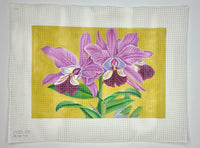 Orchids
