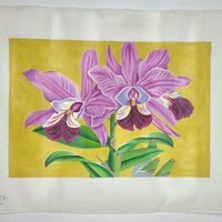 Orchids