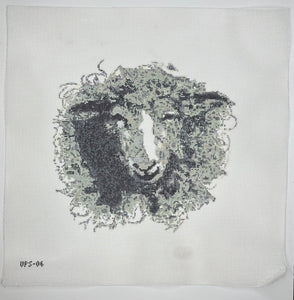 Pursell Sheep