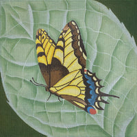 Giant Old World Monarch Butterfly