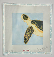 Turtle
