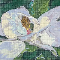 Magnolia