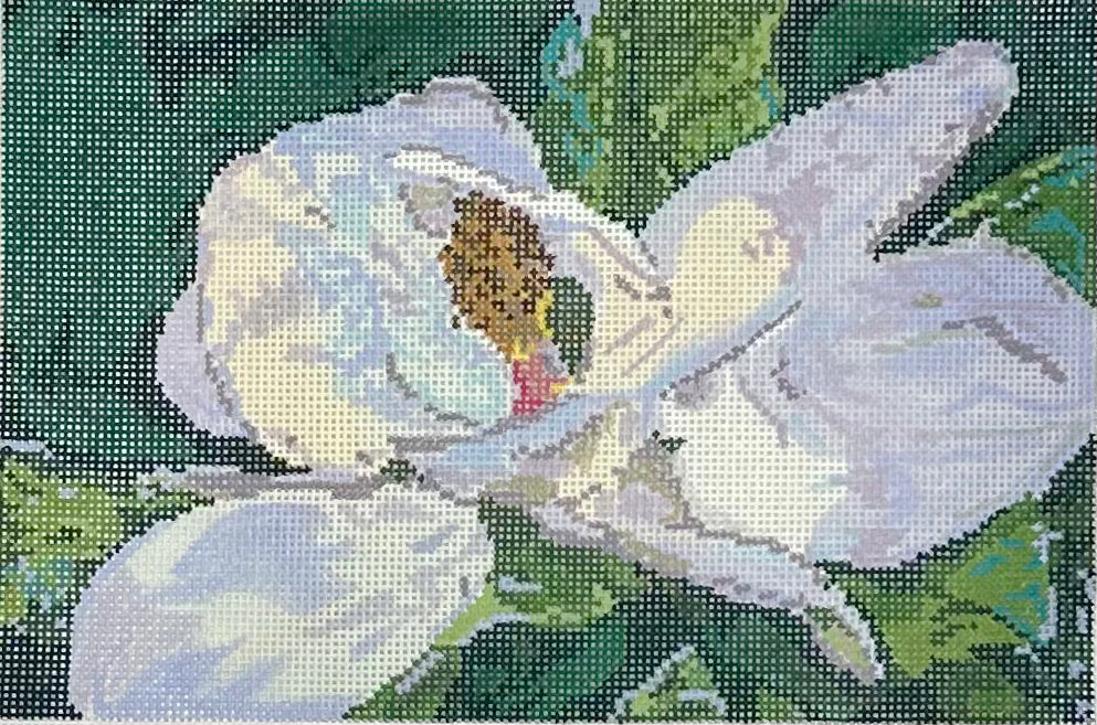 Magnolia
