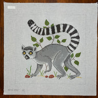 Ringed Tail Lemur