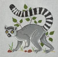 Ringed Tail Lemur
