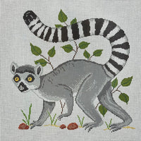 Ringed Tail Lemur