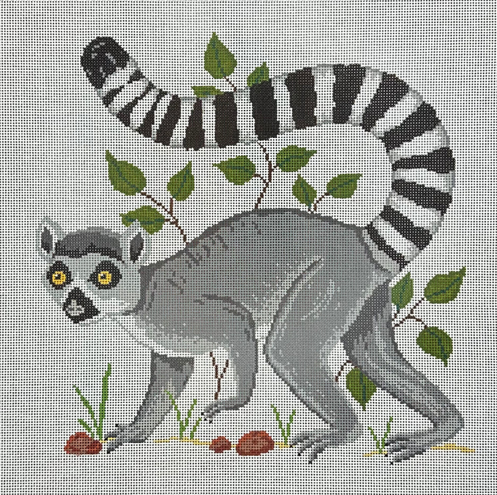 Ringed Tail Lemur