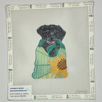 Black Labrador in Purse