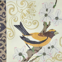 Spring Bird