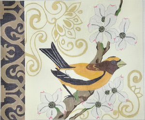 Spring Bird