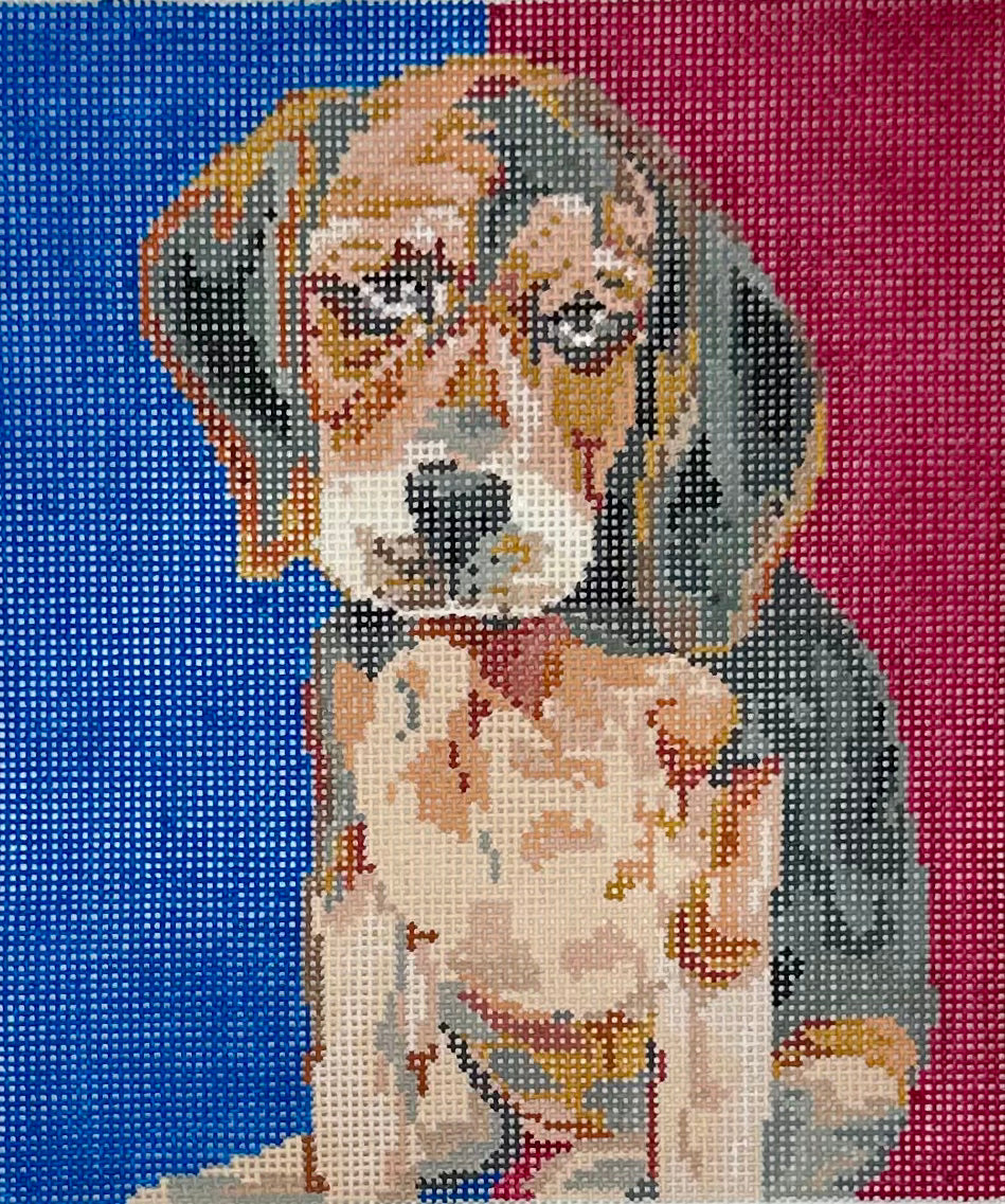 Beagle Pup