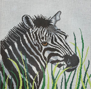 Zebra in Grass