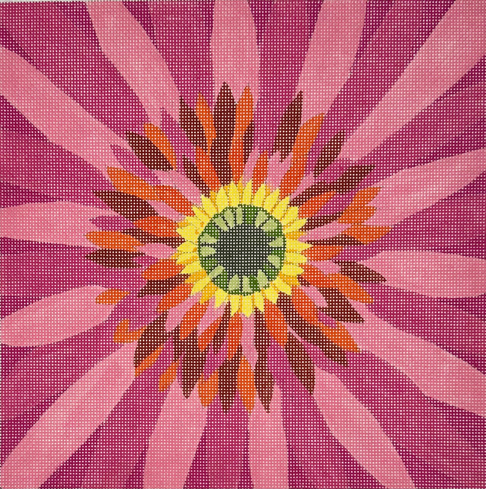 Pink Gerber Daisy Close Up