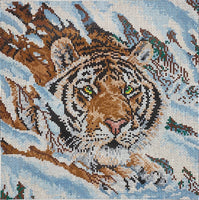 Tiger in the Snow

