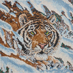 Tiger in the Snow