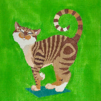 Striped Cat on Green