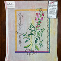 Besler Snapdragon