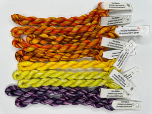 10 skeins of Hand-dyed Flat Ribbon