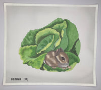 Bunny on Cabbage
