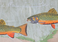 Large Brook Trout
