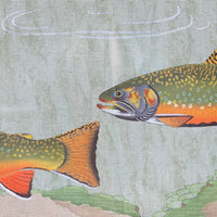 Large Brook Trout