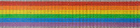 Rainbow Key Fob
