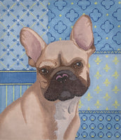 French Bulldog
