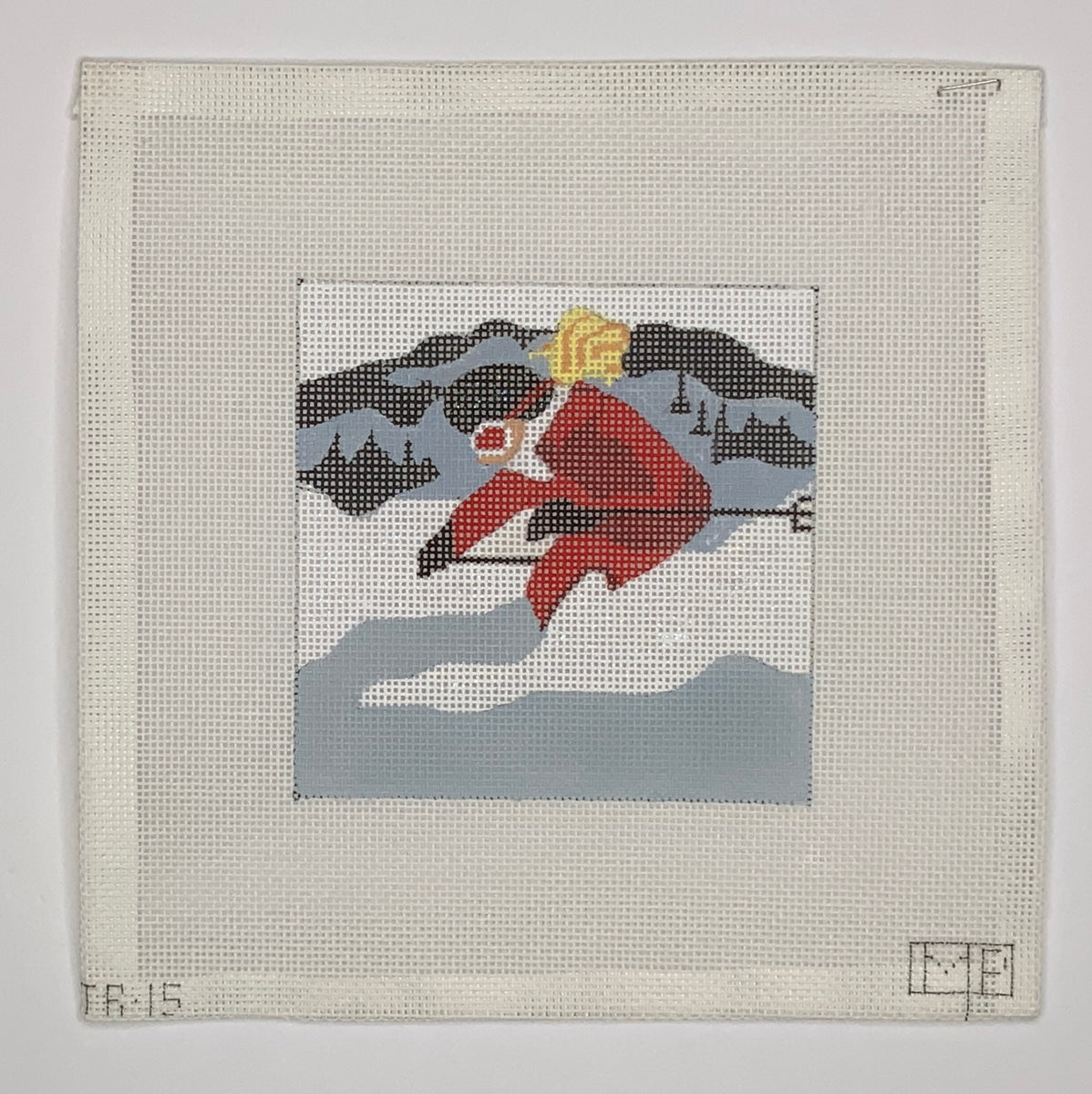 Skier | Needlepoint Destashing