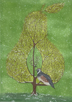 Partridge in a Pear Shaped Tree
