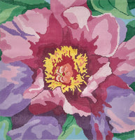 Princess Peony
