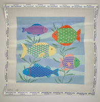 Colorful Fish
