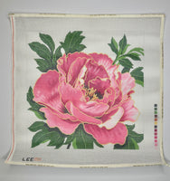 Red Peony on 12M
