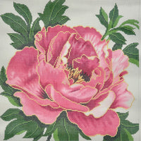 Red Peony on 12M
