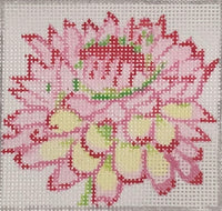 Pink/Green Mum Coaster
