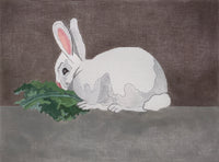 Bunny
