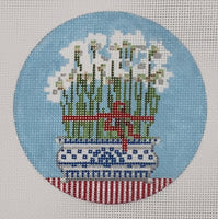 Paperwhites

