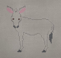 Donkey

