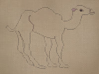 Camel
