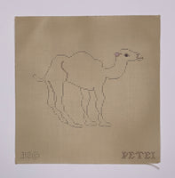 Camel
