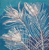 White Peacock Feathers
