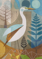New Zealand Kotuku
