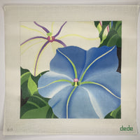 Giant Morning Glories