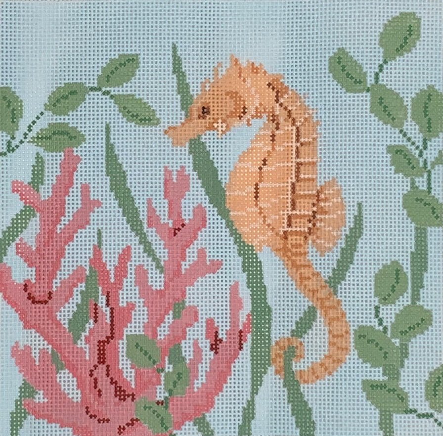Seahorse