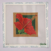 Hibiscus
