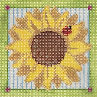 Sunflower Square
