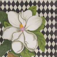 Harlequin Magnolia