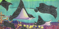School of Rays
