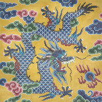 Dragon on Yellow Pillow on 12M
