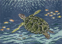 Sea Turtle

